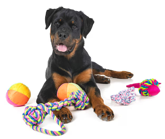 pet care