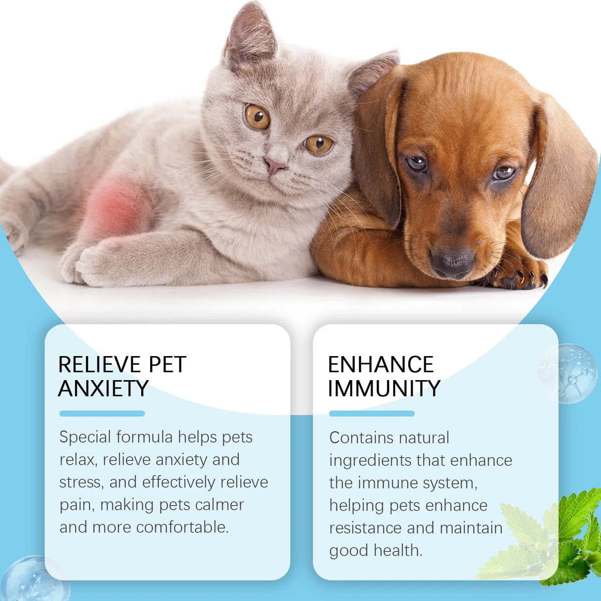 Pet Immunity Boost Care Drops to Relieve Stress and Pain, Enhance Pets' Immunity, Care Supplement for Dogs and Cats