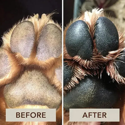 30g Pet Paw Care Cream Cat and Dog Foot Care Cream Foot Pad Protection Oil Dog Paw Balm Cat Dog Paw Protective Cream Canine