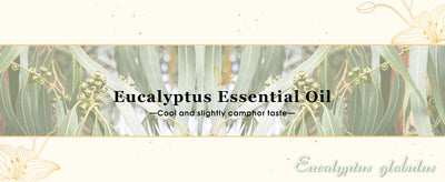 EUQEE 10ML Natural Essential Oils Eucalyptus Spearmint Vanilla Lavender Lemon Oregano Oil For Humidifier DIY Soap,Candle Making
