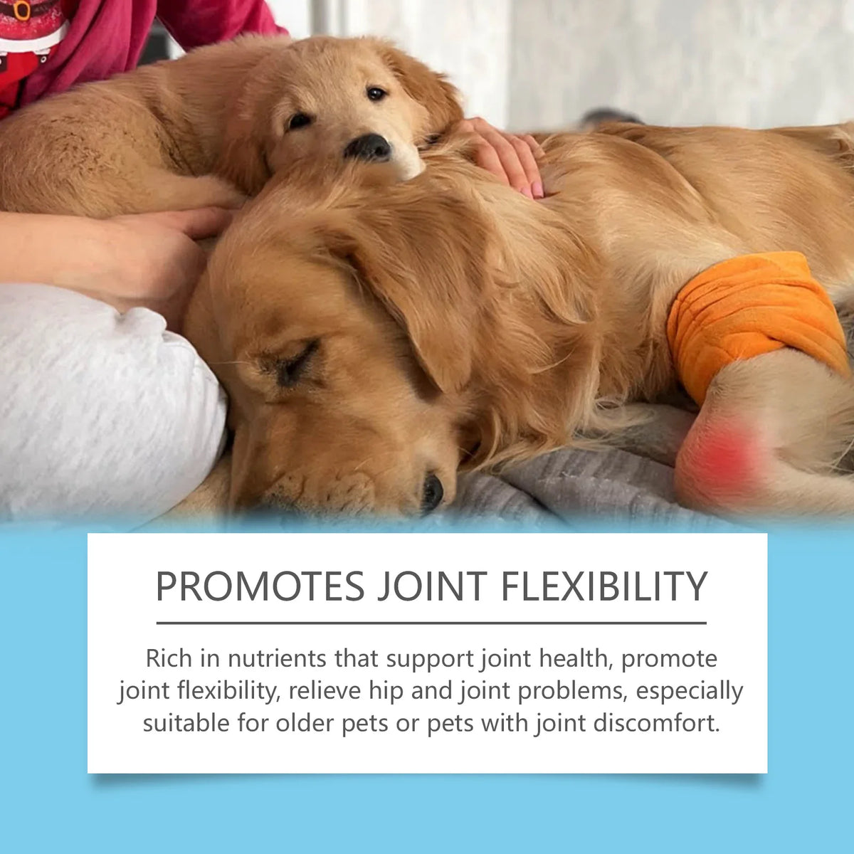 Pet Immunity Boost Care Drops to Relieve Stress and Pain, Enhance Pets' Immunity, Care Supplement for Dogs and Cats